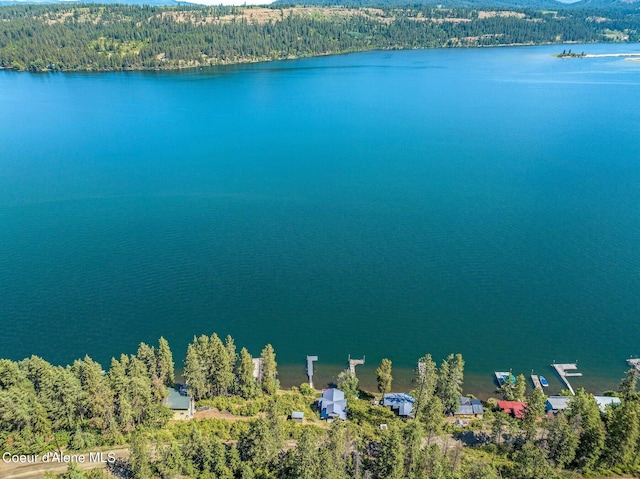 1967 W Cottonwood Rd, Worley, ID 83876 - aerial view with a water view and a forest view