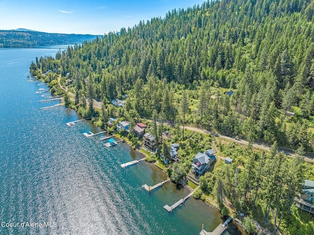 1967 W Cottonwood Rd, Worley, ID 83876 - bird's eye view with a water view and a wooded view