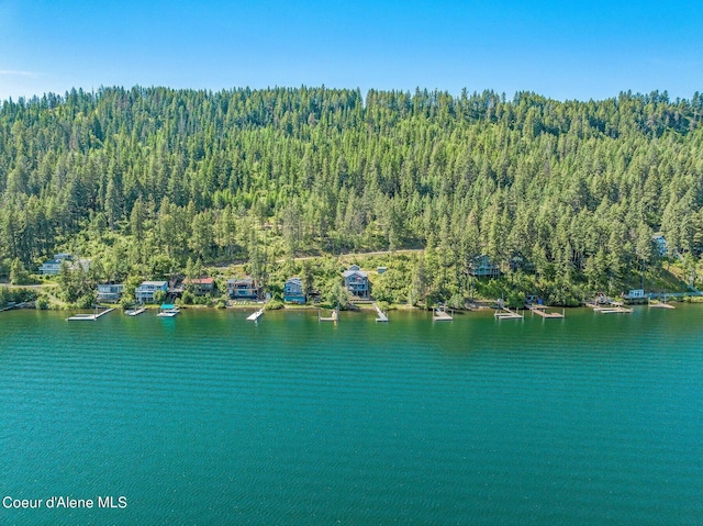 1967 W Cottonwood Rd, Worley, ID 83876 - bird's eye view with a water view and a view of trees