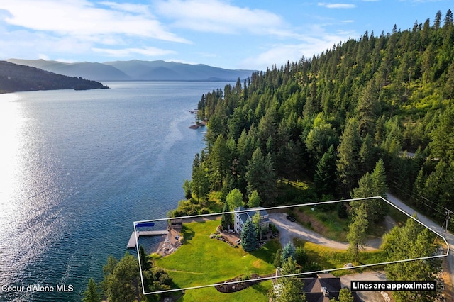 40 Stewarts Dr, Sagle, ID 83860 - photo 49