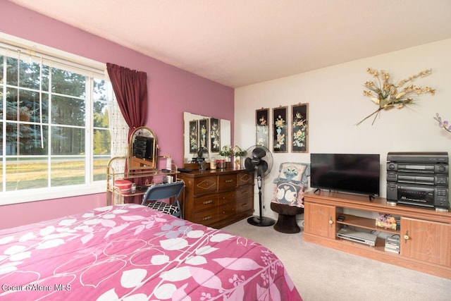 bedroom featuring carpet floors