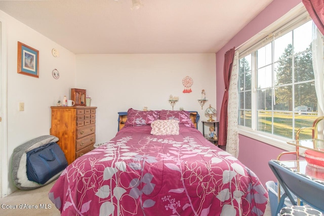 bedroom featuring carpet flooring