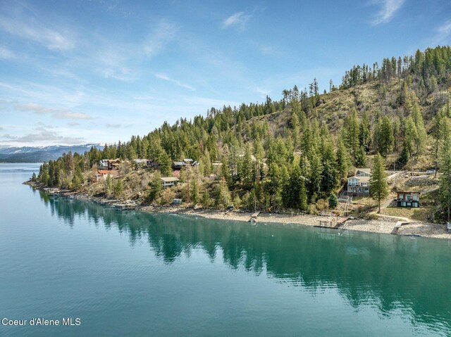 3765 Bottle Bay Rd, Sagle, ID 83860 - water view with a forest view