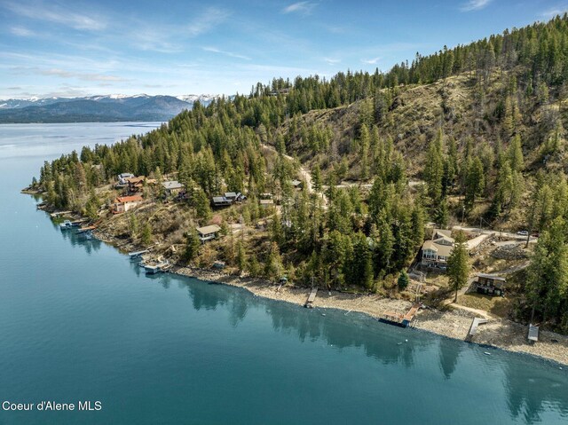 3765 Bottle Bay Rd, Sagle, ID 83860 - bird's eye view with a view of trees and a water and mountain view