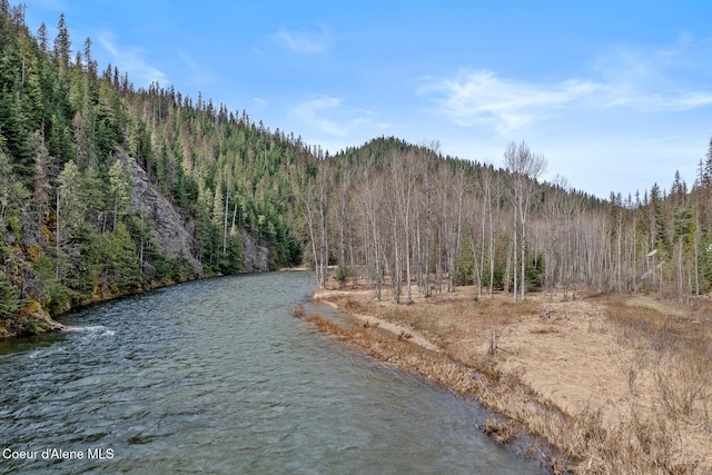 water view featuring a forest view