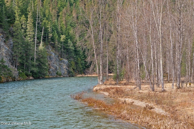 water view featuring a forest view