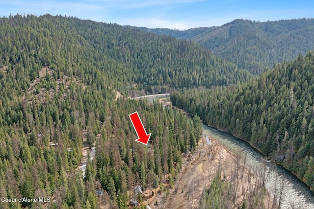 bird's eye view with a view of trees and a mountain view