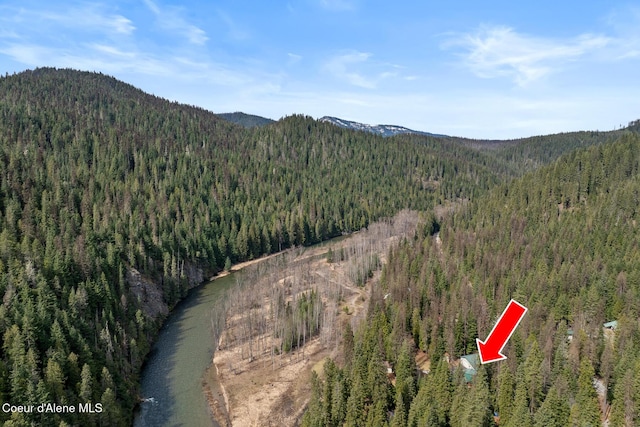 mountain view featuring a forest view