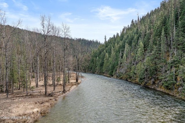 property view of water featuring a wooded view