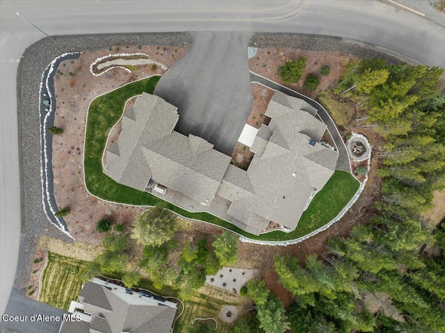 bird's eye view