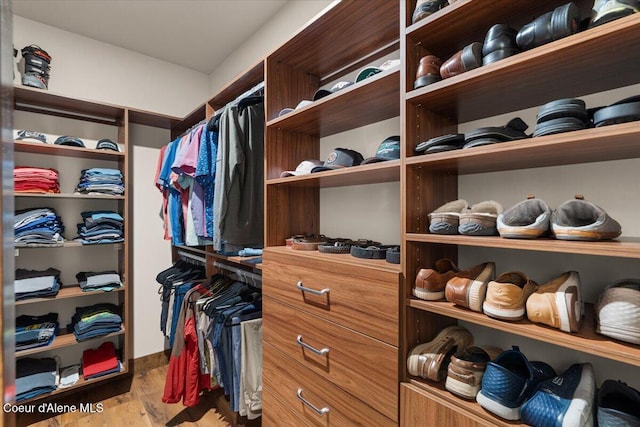 spacious closet with wood finished floors
