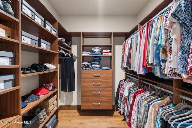 spacious closet featuring wood finished floors