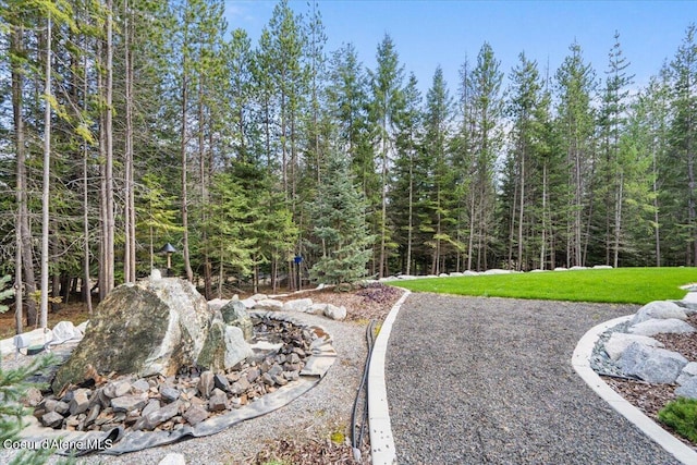 view of yard featuring a view of trees