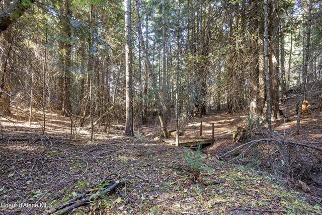 view of landscape with a forest view