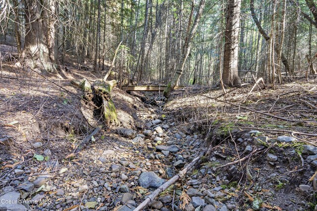 view of local wilderness featuring a wooded view