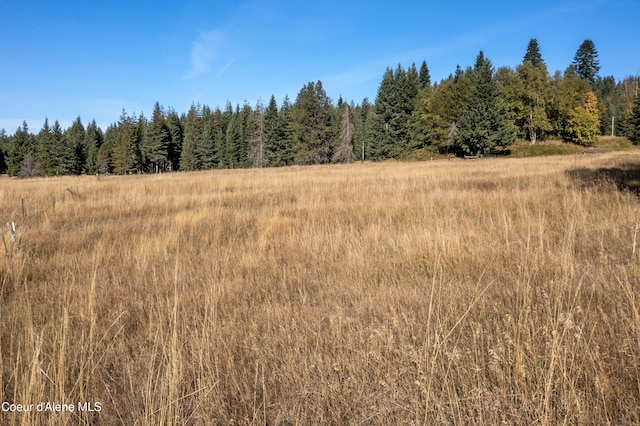view of local wilderness featuring a rural view and a forest view