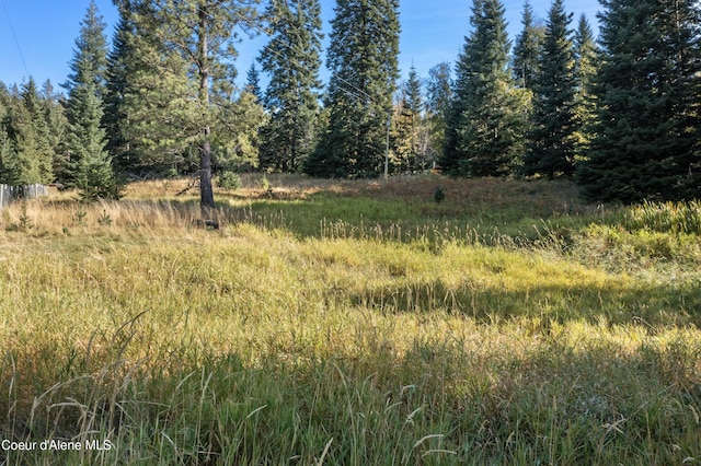 view of landscape with a forest view