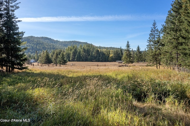 mountain view featuring a wooded view and a rural view
