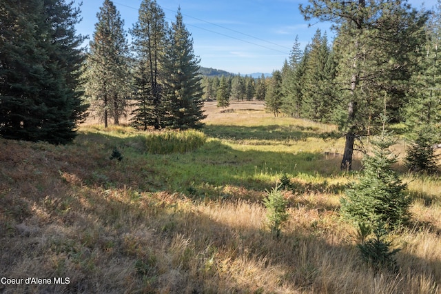 view of nature featuring a wooded view