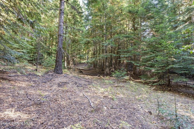 view of landscape featuring a forest view