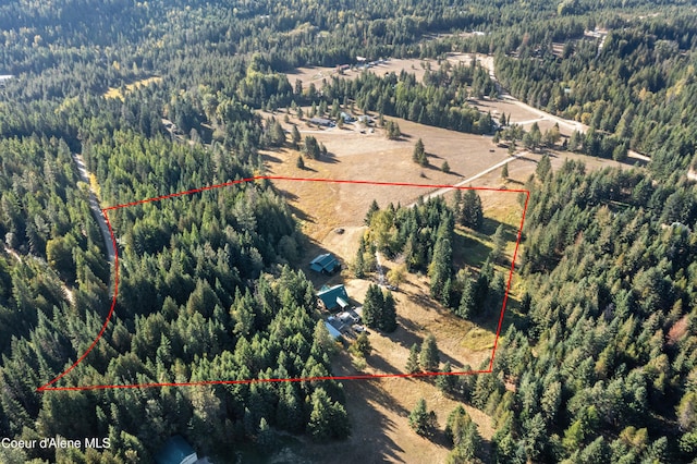 bird's eye view with a view of trees