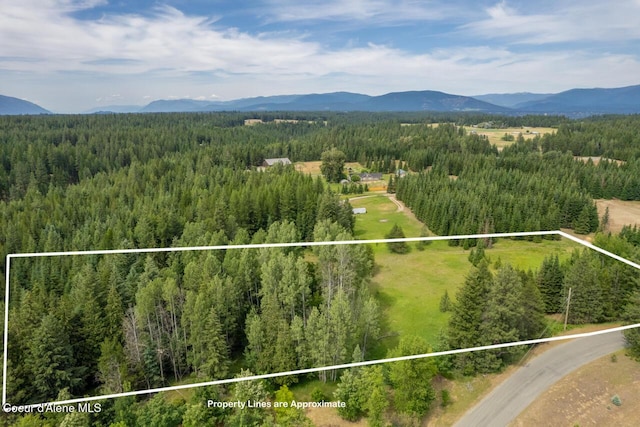 NNA Kokanee Rd, Bonners Ferry, ID 83805 - photo 4