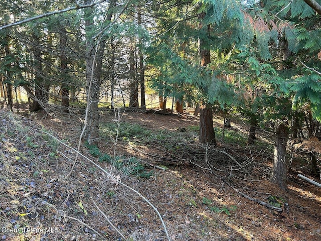 NNA Kokanee Rd, Bonners Ferry, ID 83805 - photo 23
