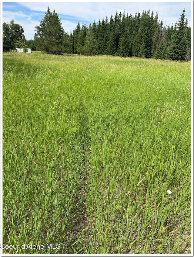 NNA Kokanee Rd, Bonners Ferry, ID 83805 - photo 25