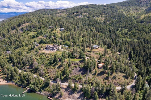 154 W Eagle Crest Dr, Sagle, ID 83860 - view of property location featuring a heavily wooded area and a water and mountain view