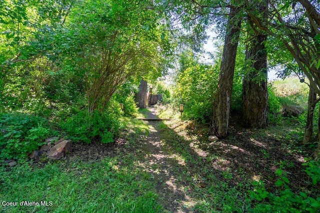 154 W Eagle Crest Dr, Sagle, ID 83860 - view of woods