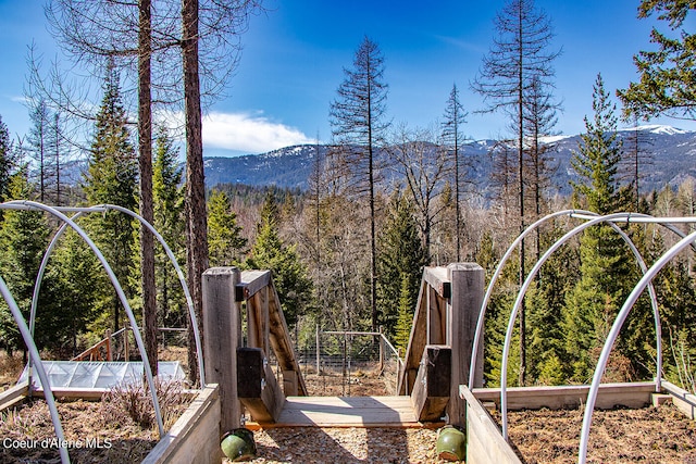 view of mountain feature with a wooded view