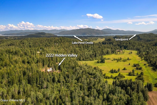 birds eye view of property featuring a wooded view and a mountain view