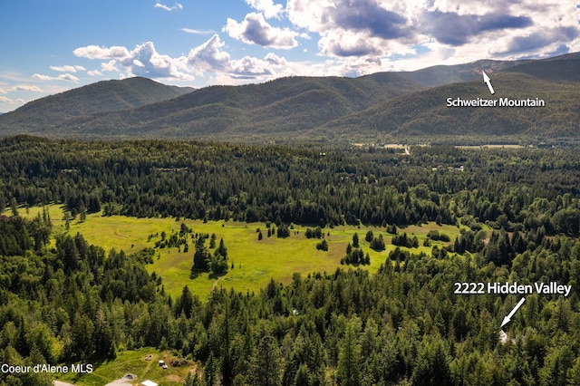 view of mountain feature with a view of trees