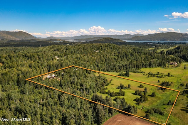 drone / aerial view with a forest view and a mountain view
