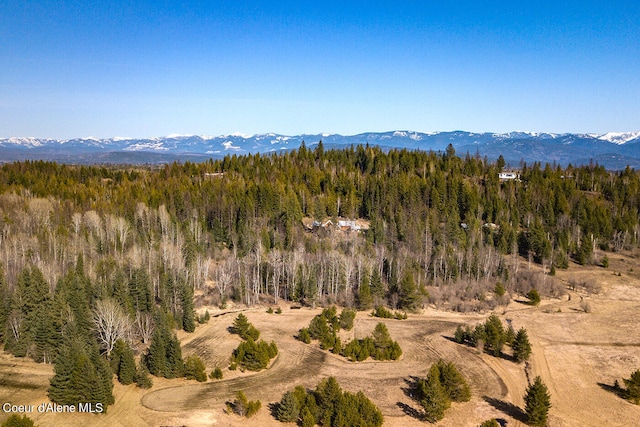 view of mountain feature with a forest view