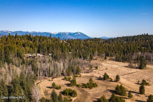 view of mountain feature featuring a wooded view
