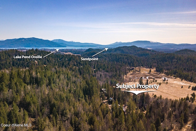 property view of mountains with a forest view