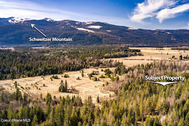 property view of mountains with a view of trees