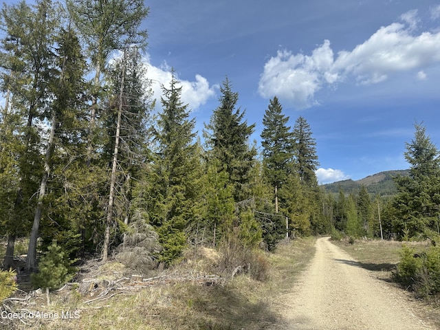 NNA Eastside Rd, Priest River, ID 83856 - photo 2