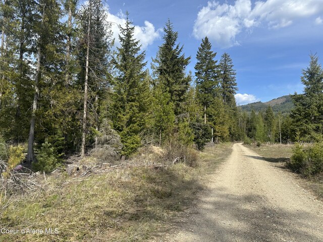 NNA Eastside Rd, Priest River, ID 83856 - photo 5