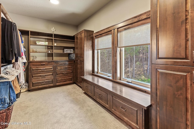 1122 S Four Winds Rd, Coeur Dalene, ID 83814 - spacious closet with light carpet