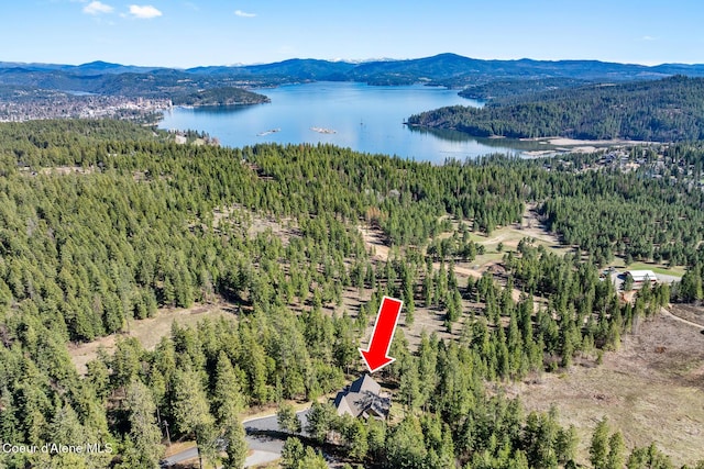 1122 S Four Winds Rd, Coeur Dalene, ID 83814 - bird's eye view with a view of trees and a water and mountain view