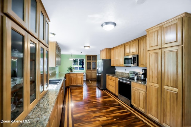 234 Stoneridge Rd, Blanchard, ID 83804 - kitchen featuring glass insert cabinets, dark wood-style flooring, a peninsula, stainless steel appliances, and light stone counters