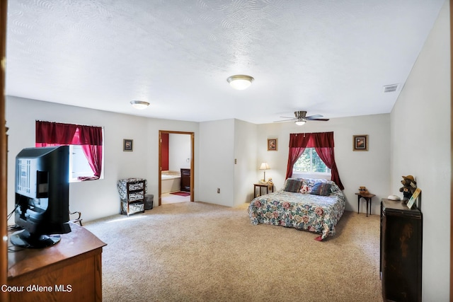 234 Stoneridge Rd, Blanchard, ID 83804 - bedroom featuring a wood stove, a textured ceiling, ensuite bath, visible vents, and carpet floors
