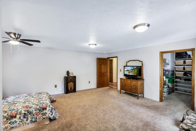 234 Stoneridge Rd, Blanchard, ID 83804 - carpeted bedroom with a closet and a walk in closet