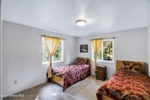 234 Stoneridge Rd, Blanchard, ID 83804 - carpeted bedroom with multiple windows and a textured ceiling
