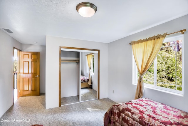 234 Stoneridge Rd, Blanchard, ID 83804 - carpeted bedroom with visible vents and a closet