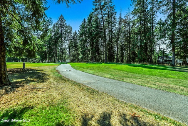 234 Stoneridge Rd, Blanchard, ID 83804 - view of property's community featuring a yard