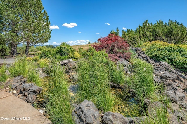 16917 S Basalt Dr, Coeur Dalene, ID 83814 - view of yard