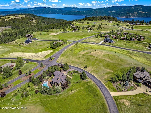 16917 S Basalt Dr, Coeur Dalene, ID 83814 - aerial overview of property's location with a water and mountain view and a heavily wooded area